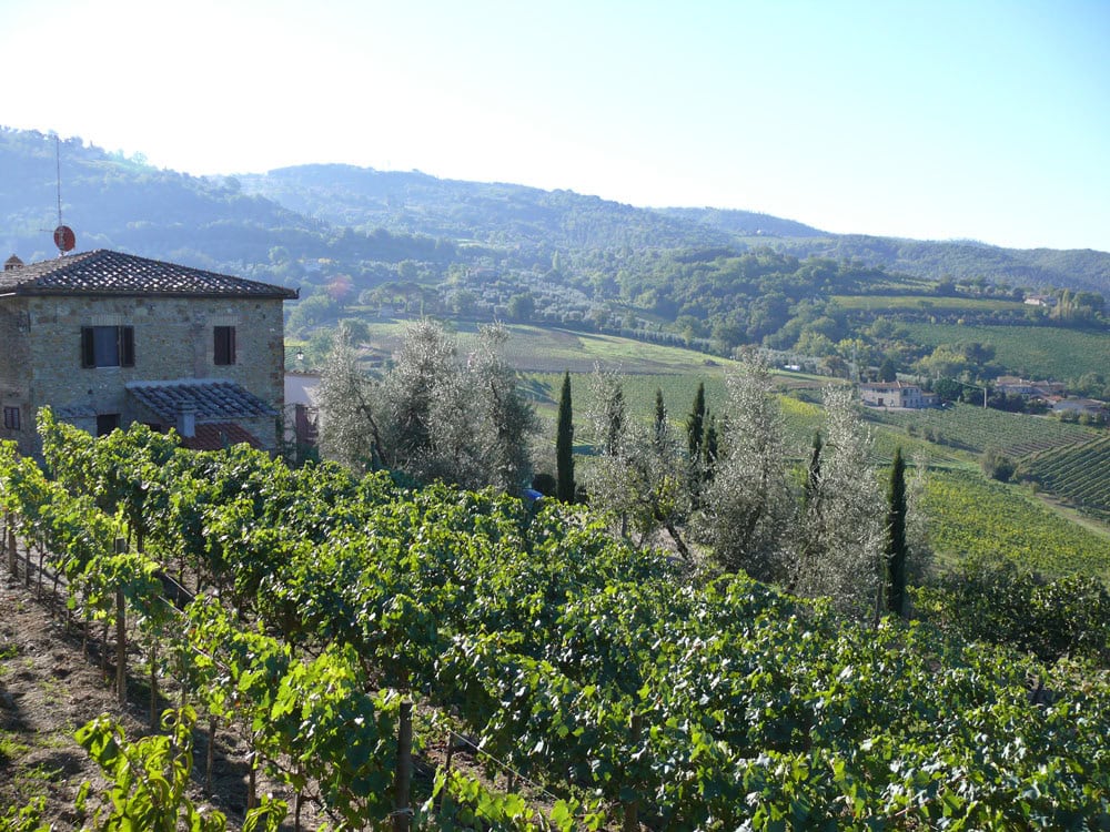 Montalcino Tenuta Pinino